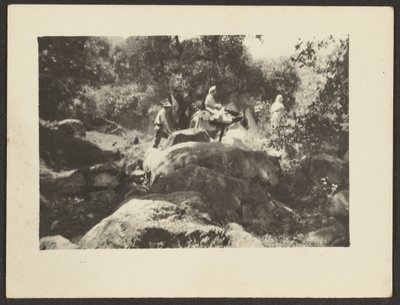 [Figuras a passar pela paisagem] de Louis Fleckenstein