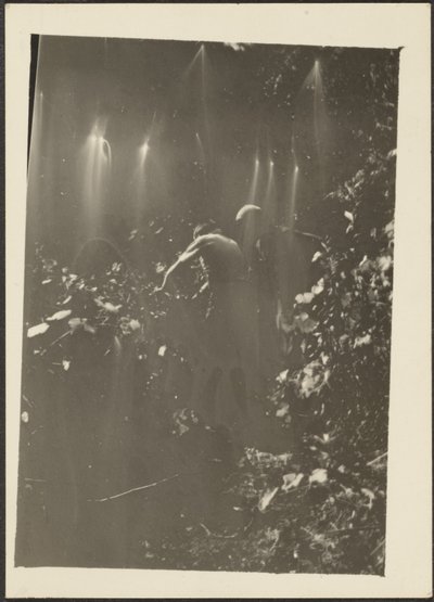 [Figuras no bosque]. de Louis Fleckenstein