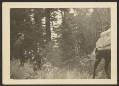[Figuras numa paisagem arborizada]. de Louis Fleckenstein