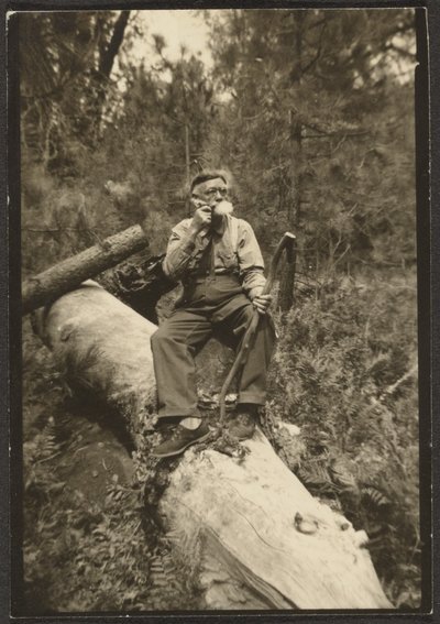 [Fleckenstein num tronco] de Louis Fleckenstein