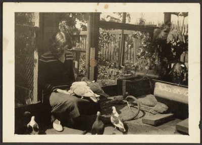 [Florença com Pombos]. de Louis Fleckenstein