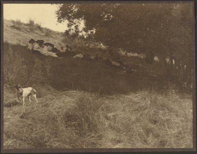 [Retrato de grupo a descansar num campo com um cão] de Louis Fleckenstein
