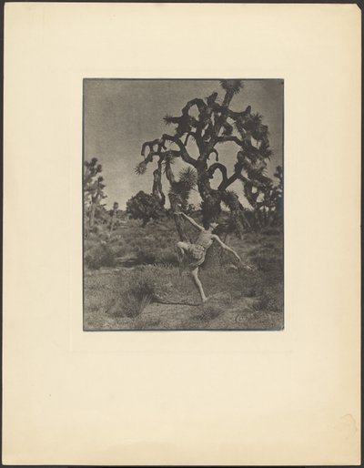 Inspiração da dança de Louis Fleckenstein
