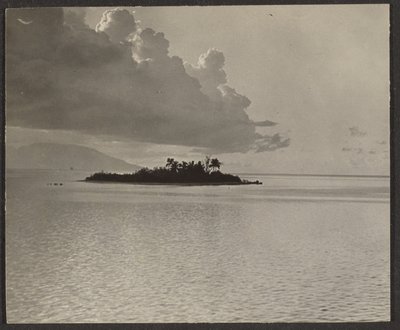 [Paisagem insular] de Louis Fleckenstein