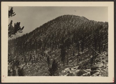 [Jean Peak from Trail] de Louis Fleckenstein