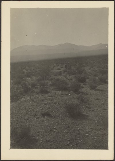 [Paisagem] de Louis Fleckenstein