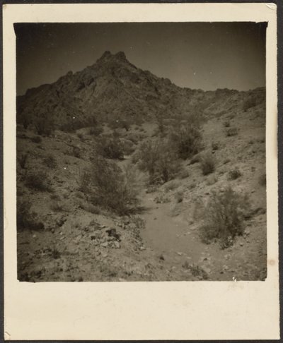[Paisagem] de Louis Fleckenstein