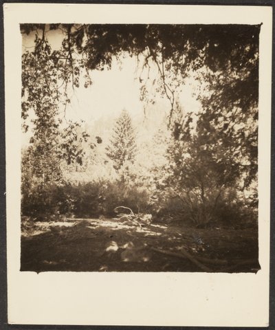 [Paisagem] de Louis Fleckenstein