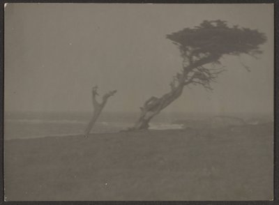 [Paisagem] de Louis Fleckenstein