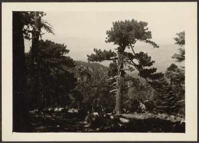 [Paisagem] de Louis Fleckenstein