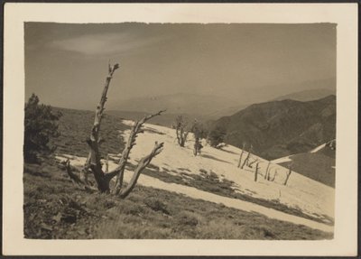 [Paisagem] de Louis Fleckenstein