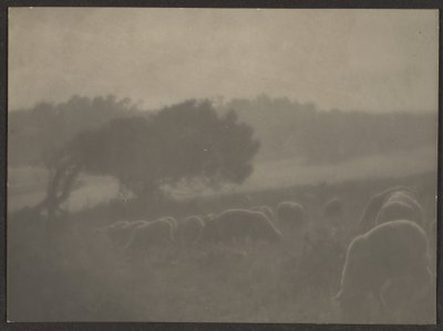 [Paisagem com ovelhas]. de Louis Fleckenstein
