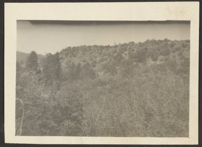 [Paisagem com arbustos]. de Louis Fleckenstein