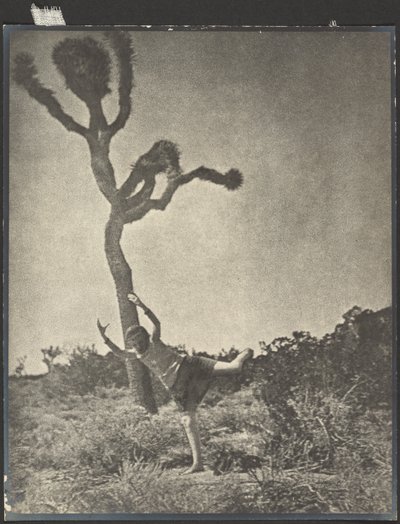 Ágil e gracioso - Dancing Joshua de Louis Fleckenstein
