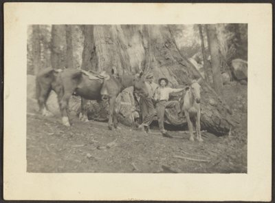 [Homens e cavalos de carga na limpeza de florestas]. de Louis Fleckenstein