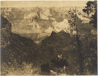 [Paisagem montanhosa com árvore nua]. de Louis Fleckenstein