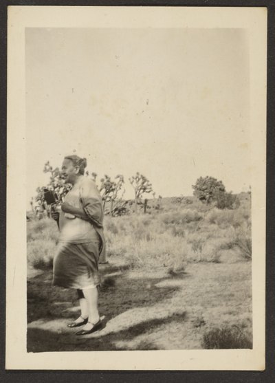 [Mrs Fleckenstein in Landscape] de Louis Fleckenstein