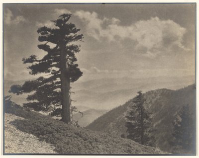 [Em Ridge para Old Baldy] de Louis Fleckenstein