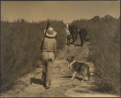 Numa cordilheira do deserto de Louis Fleckenstein