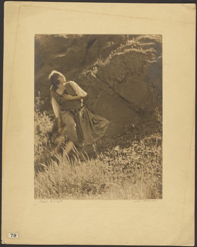  de Louis Fleckenstein