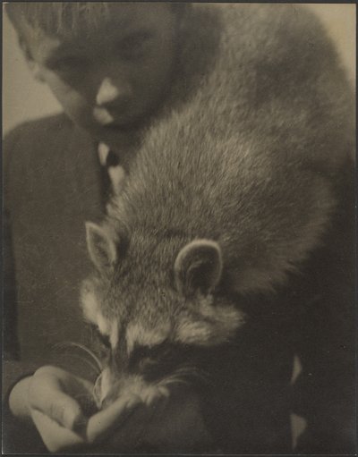 [Retrato de um rapaz a dar de comer a um guaxinim] de Louis Fleckenstein