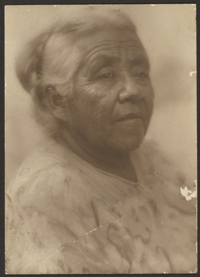 [Retrato de uma mulher com uma blusa com padrão]. de Louis Fleckenstein