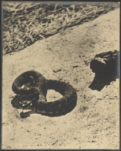  de Louis Fleckenstein