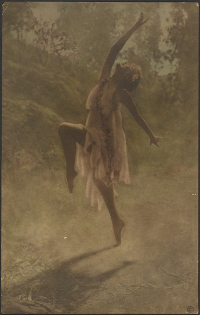 Dança das Rosas do Sul de Louis Fleckenstein