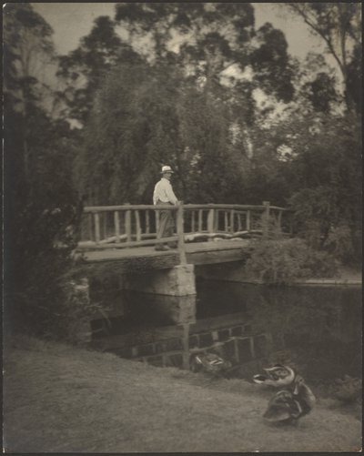 Ponte rústica de Louis Fleckenstein
