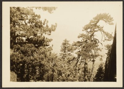 [Pico de Santa Rosa] de Louis Fleckenstein