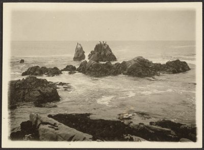 [Paisagem marítima]. de Louis Fleckenstein