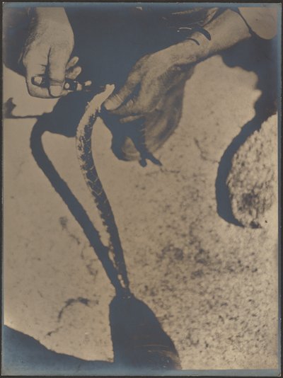  de Louis Fleckenstein