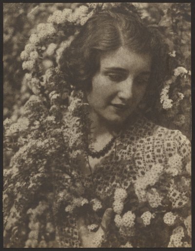 Spirea de Louis Fleckenstein