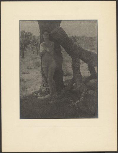 Espírito do Josué de Louis Fleckenstein
