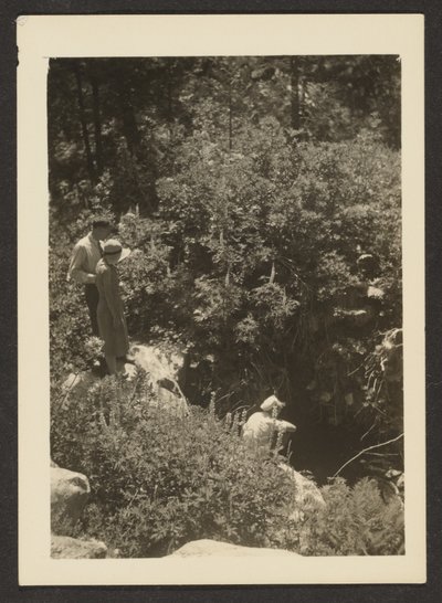 [primavera em Fern Valley] de Louis Fleckenstein