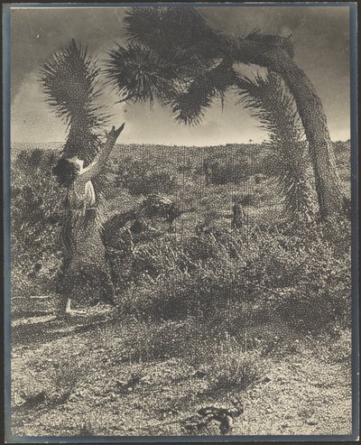 A Bênção de Louis Fleckenstein