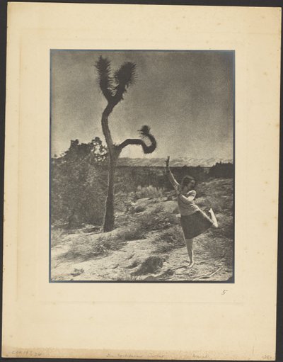 de Louis Fleckenstein