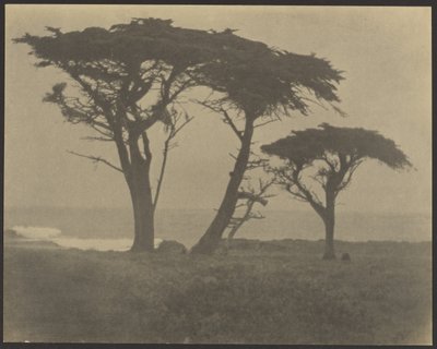  de Louis Fleckenstein