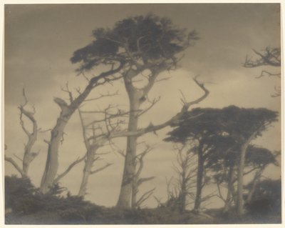 Irmãos gémeos - Carmel de Louis Fleckenstein