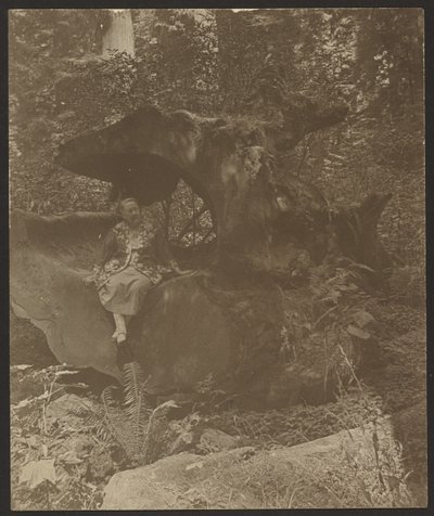  de Louis Fleckenstein