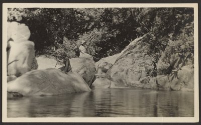 [Mulher à beira do lago]. de Louis Fleckenstein