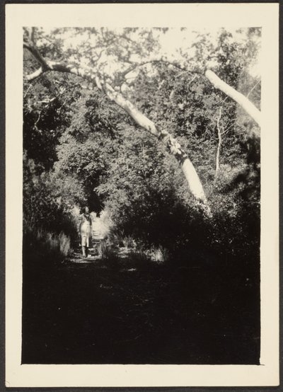 [Mulher no caminho no bosque]. de Louis Fleckenstein