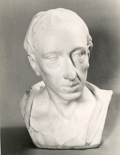 Busto de Alexander Pope (mármore) de Louis Francois Roubillac