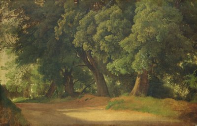Carvalhos em Holstein (óleo sobre papel em madeira) de Louis Gurlitt