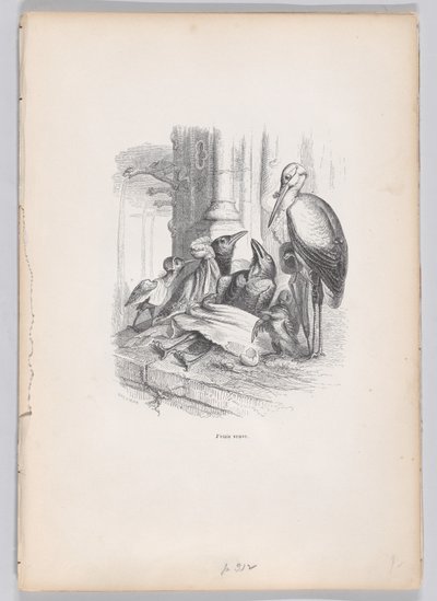 Eu era uma viúva de Cenas da Vida Privada e Pública dos Animais, ca. 1837-47. de Louis Henri Brévière