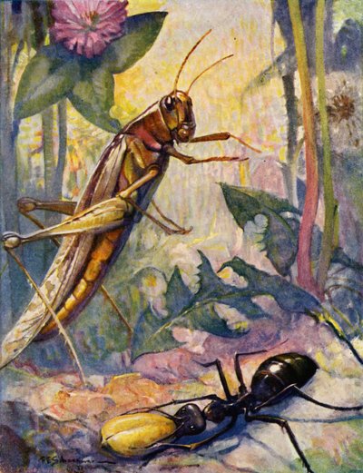 A Formiga e o Grashopper (litografia a cores) de Louis John Rhead