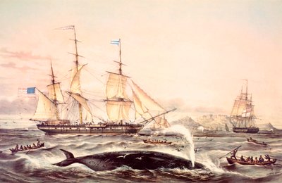 Baleeira fora do cabo da boa esperança de Louis Le Breton