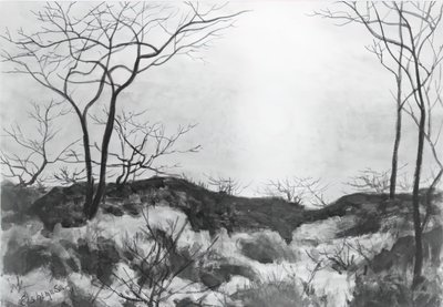 paisagem de Louis Michel Eilshemius
