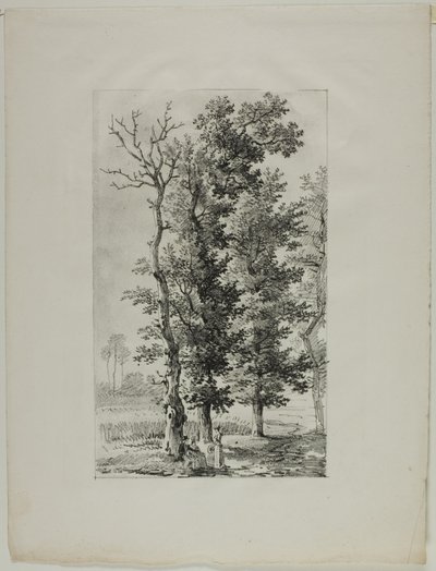 Estudo de Árvores de Louis Pierre Baltard