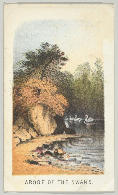 Abode of the Swans, da série, Views in Central Park, New York, Part 2, 1864. de Louis Prang